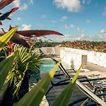 Vida Jungle Boho Apart 13 With Special Fee To Access Hotel Bardo